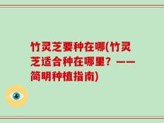 竹灵芝要种在哪(竹灵芝适合种在哪里？——简明种植指南)