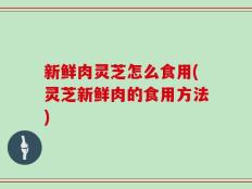 新鲜肉灵芝怎么食用(灵芝新鲜肉的食用方法)
