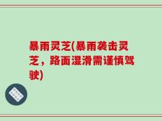 暴雨灵芝(暴雨袭击灵芝，路面湿滑需谨慎驾驶)
