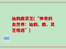 仙鹤鹿灵芝(“神奇的自然界：仙鹤、鹿、灵芝相遇”)