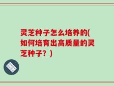 灵芝种子怎么培养的(如何培育出高质量的灵芝种子？)