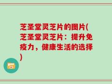 芝圣堂灵芝片的图片(芝圣堂灵芝片：提升免疫力，健康生活的选择)