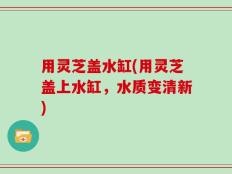用灵芝盖水缸(用灵芝盖上水缸，水质变清新)