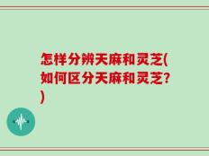 怎样分辨天麻和灵芝(如何区分天麻和灵芝？)