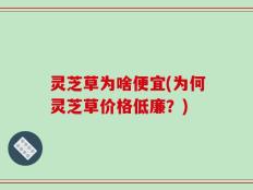 灵芝草为啥便宜(为何灵芝草价格低廉？)