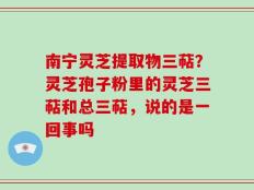 南宁灵芝提取物三萜？灵芝孢子粉里的灵芝三萜和总三萜，说的是一回事吗