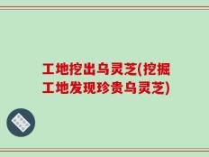 工地挖出乌灵芝(挖掘工地发现珍贵乌灵芝)
