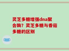 灵芝多糖增强dna聚合酶？灵芝多糖与香菇多糖的区别