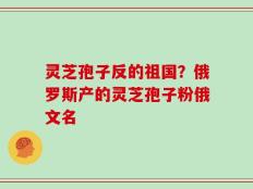 灵芝孢子反的祖国？俄罗斯产的灵芝孢子粉俄文名