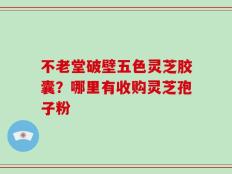 不老堂破壁五色灵芝胶囊？哪里有收购灵芝孢子粉