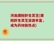 河南濮阳野生灵芝(濮阳野生灵芝资源丰富，成为药材新热点)