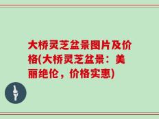 大桥灵芝盆景图片及价格(大桥灵芝盆景：美丽绝伦，价格实惠)