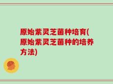 原始紫灵芝菌种培育(原始紫灵芝菌种的培养方法)