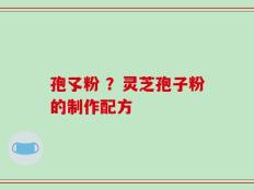 孢孓粉 ？灵芝孢子粉的制作配方
