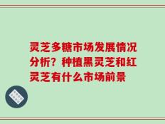 灵芝多糖市场发展情况分析？种植黑灵芝和红灵芝有什么市场前景