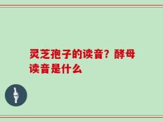 灵芝孢子的读音？酵母读音是什么