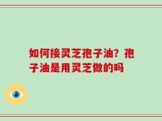 如何接灵芝孢子油？孢子油是用灵芝做的吗