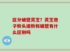 区分破壁灵芝？灵芝孢子粉头道粉和破壁有什么区别吗