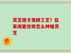 灵芝孢子发酵工艺？在家闲置空房怎么种植灵芝