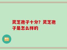 灵芝孢子十分？灵芝孢子是怎么样的