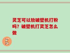灵芝可以放破壁机打粉吗？破壁机打灵芝怎么做