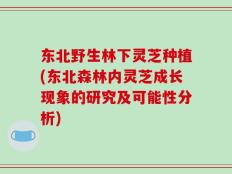 东北野生林下灵芝种植(东北森林内灵芝成长现象的研究及可能性分析)