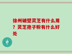 徐州破壁灵芝有什么用？灵芝孢子粉有什么好处