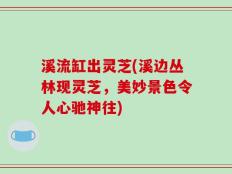 溪流缸出灵芝(溪边丛林现灵芝，美妙景色令人心驰神往)