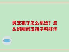 灵芝孢子怎么桃选？怎么辨别灵芝孢子粉好坏