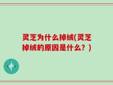 灵芝为什么掉绒(灵芝掉绒的原因是什么？)