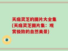 天庭灵芝的图片大全集(天庭灵芝图片集：观赏极致的自然美景)