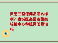 灵芝三萜保健品怎么样啊？宿城区鑫常达菌类培植中心种植灵芝靠谱吗