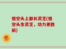 悟空头上都长灵芝(悟空头生灵芝，功力更胜前)