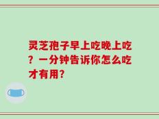 灵芝孢子早上吃晚上吃？一分钟告诉你怎么吃才有用？