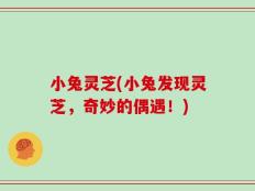 小兔灵芝(小兔发现灵芝，奇妙的偶遇！)