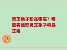 灵芝孢子粉在哪买？哪里买破壁灵芝孢子粉最正宗