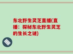 东北野生灵芝直播(直播：探秘东北野生灵芝的生长之谜)