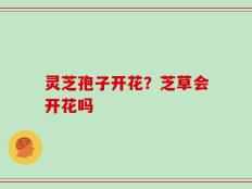灵芝孢子开花？芝草会开花吗