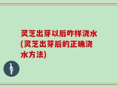 灵芝出芽以后咋样浇水(灵芝出芽后的正确浇水方法)