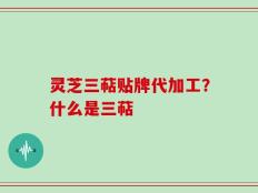 灵芝三萜贴牌代加工？什么是三萜