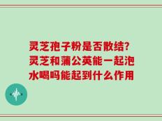 灵芝孢子粉是否散结？灵芝和蒲公英能一起泡水喝吗能起到什么作用