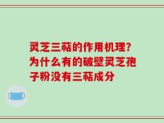 灵芝三萜的作用机理？为什么有的破壁灵芝孢子粉没有三萜成分