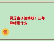 灵芝孢子油蜂胶？三邦蜂帽是什么