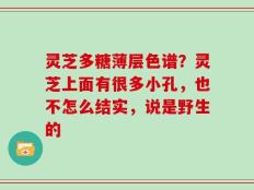 灵芝多糖薄层色谱？灵芝上面有很多小孔，也不怎么结实，说是野生的