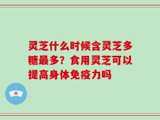 灵芝什么时候含灵芝多糖最多？食用灵芝可以提高身体免疫力吗