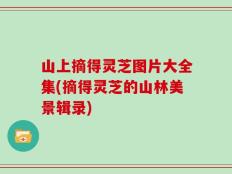 山上摘得灵芝图片大全集(摘得灵芝的山林美景辑录)