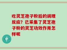 吃灵芝孢子粉后的调理反应？已采集了灵芝孢子粉的灵芝功效作用怎样呢