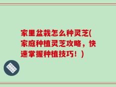 家里盆栽怎么种灵芝(家庭种植灵芝攻略，快速掌握种植技巧！)