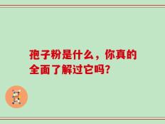 孢子粉是什么，你真的全面了解过它吗？