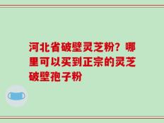 河北省破壁灵芝粉？哪里可以买到正宗的灵芝破壁孢子粉